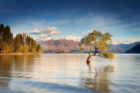 瓦纳卡湖，南岛，新西兰，山，水，森林，树，美丽的景色，景观