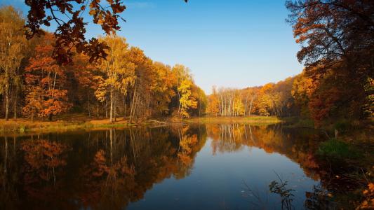 自然，秋天，池塘