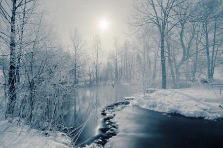 树，太阳，河，冬天，雾