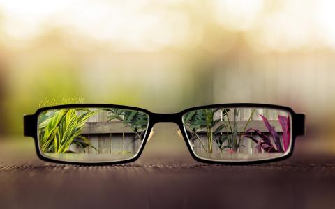 清晰，视觉，周围，世界，通过，眼镜