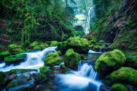 Elowah瀑布，俄勒冈州，瀑布，石头，苔藓，性质