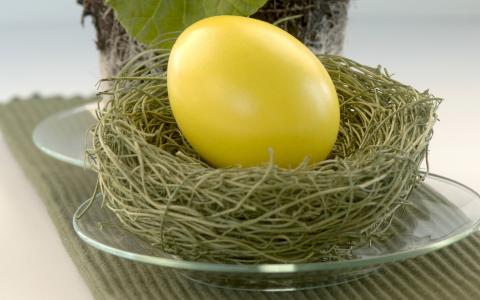 黄色的鸡蛋，巢