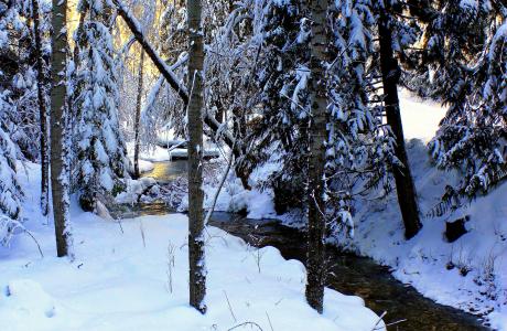 冬天，河，树，雪，景观