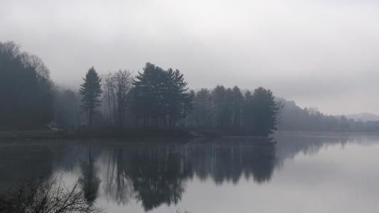 秋天的湖，早上，咕噜声