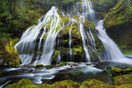 豹溪瀑布，哥伦比亚河峡谷，俄勒冈州，俄勒冈州，岩石，苔藓