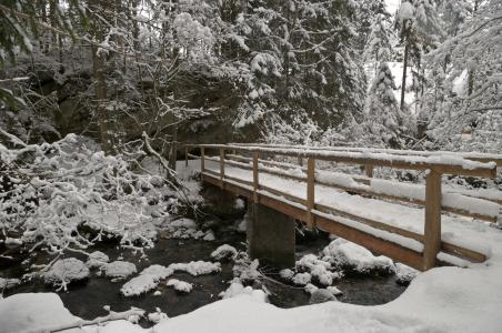 冬天，河，桥，树，景观