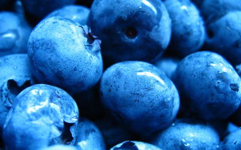 蓝莓，浆果，滴