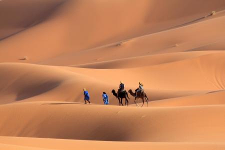 沙漠，沙丘，朝圣者，骆驼，热浪，奔向绿洲