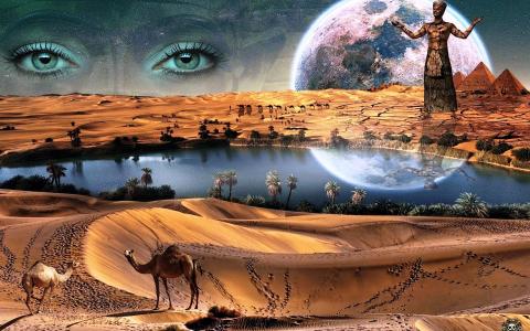 神，星球，绿洲，反射，骆驼