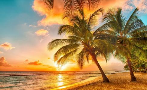 海滩，棕榈树，热带地区，日落