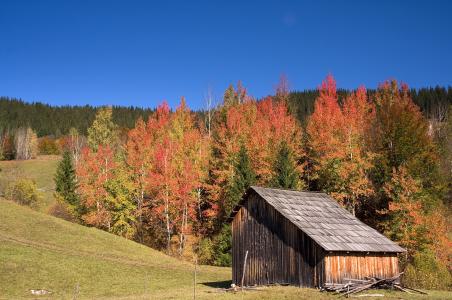 罗马尼亚，秋天，丘陵，房子，景观