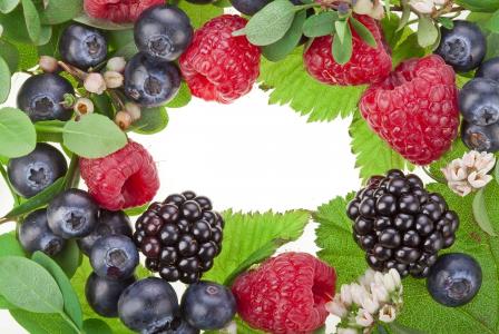 黑莓，覆盆子，蓝莓，浆果，叶子，花朵
