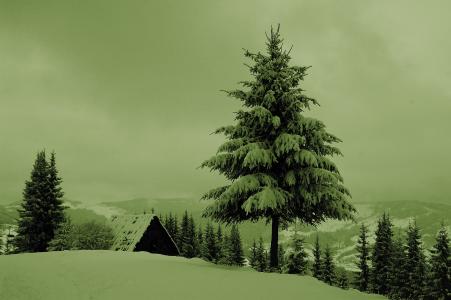 冬天，山，树，小房子，景观