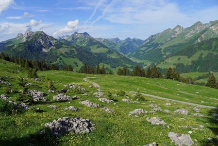 山，瑞士，石头，草地，景观