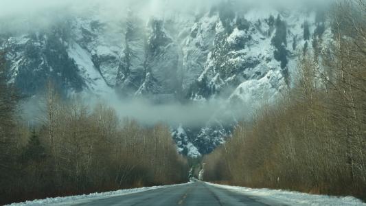 路，雪，雾，森林，山脉