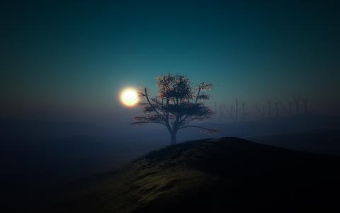 光，夜，月亮，小山，树