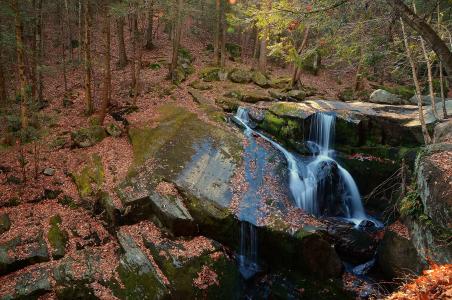 秋天，瀑布，岩石，森林，树木，性质