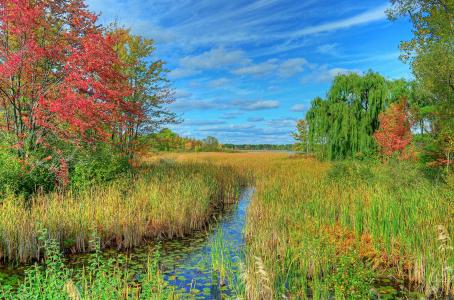 密歇根州奥克兰县的湖泊，秋天的树木，大自然，风景