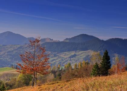 罗马尼亚，秋天，丘陵，树木，天空，景观