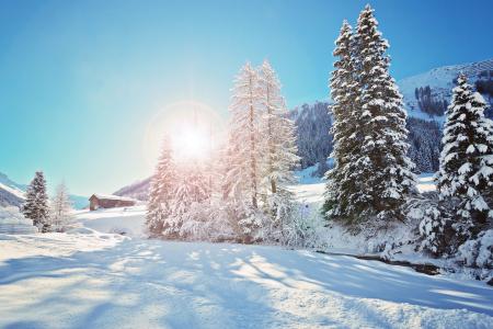 冬天，雪，树木，小屋