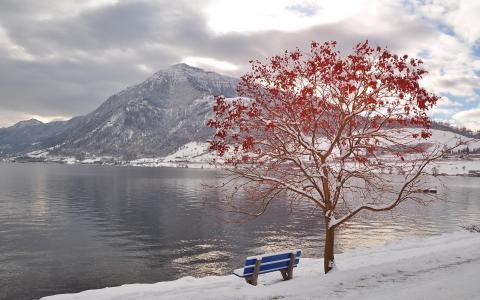 冬天，水，山，树，长凳