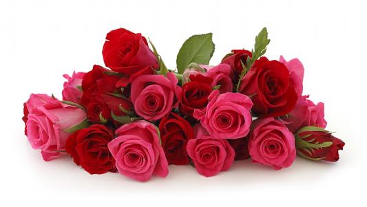红色和粉红色的花束，玫瑰