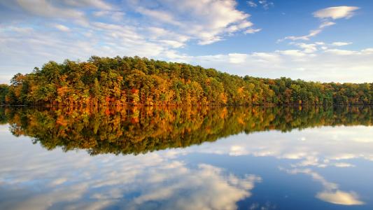 秋天，湖，树，反射