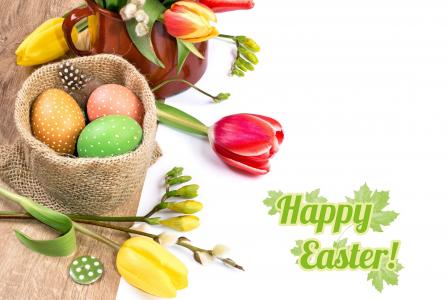 复活节，鸡蛋，krashenki，鲜花，郁金香