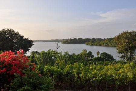 希卡杜瓦，斯里兰卡，河流，树木，风景