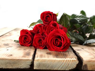玫瑰，花蕾，木板