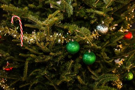 圣诞树，树，云杉，分支机构，玩具，新年，圣诞节，球，绿色，金属丝，冬季，假期，新年，圣诞节