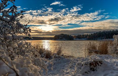 芬兰，波罗的海，日落，雪，冬天，云，灌木丛