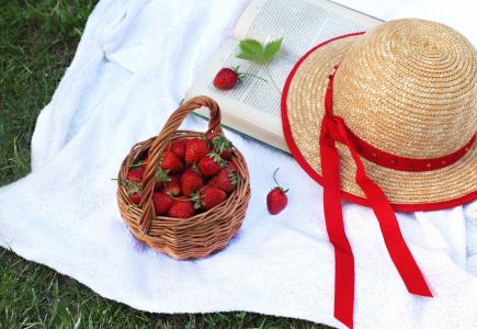 浆果，草莓，篮子，帽子，书