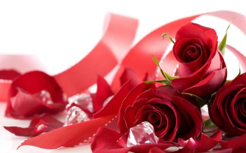 爱，玫瑰，假日，所有恋人的日子，感情，花朵，芬芳