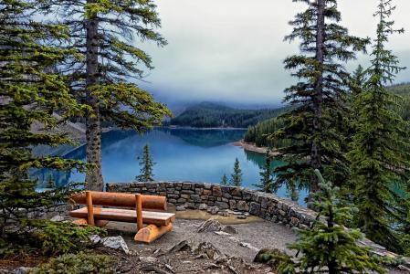 冰Lake湖，班夫国家公园，湖泊，树木，冷杉，长凳，景观