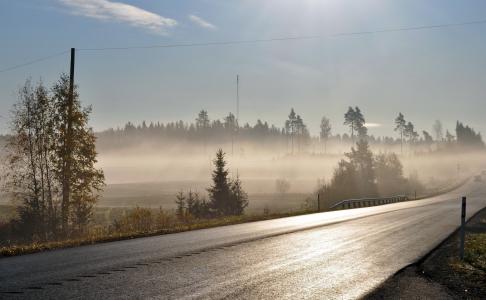 雾，路，景观