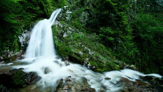 小溪，照片，绿党，森林，瀑布，瀑布，水，大自然壁纸，森林，性质