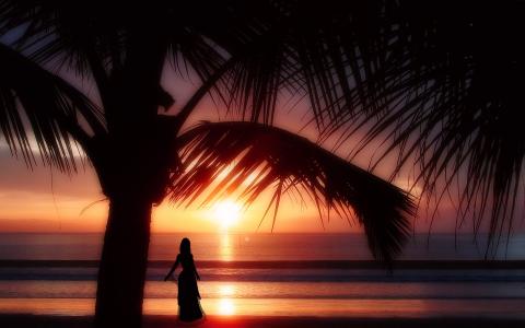 日落，海，棕榈，女孩，3d，艺术