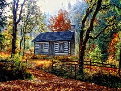秋天，森林，小房子，自然，景观