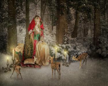 圣诞贺卡，鹿，蜡烛，森林，冬天，雪，克劳斯夫人