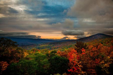 山，森林，美国，弗吉尼亚州，秋季，景观