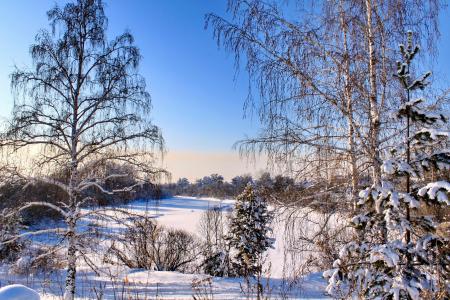 季节，冬季，雪树，大自然壁纸，эима