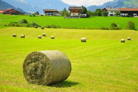 奥地利，领域，干草，房屋，景观
