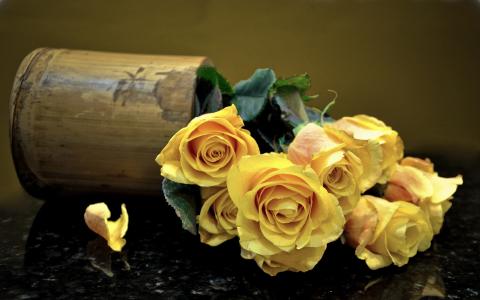 玫瑰，花束，花瓶，花瓣