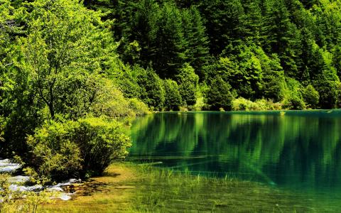 森林，湖泊，性质