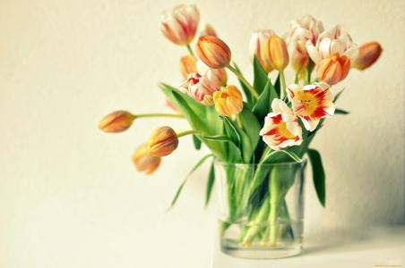 花瓶，郁金香，橙色，鲜花