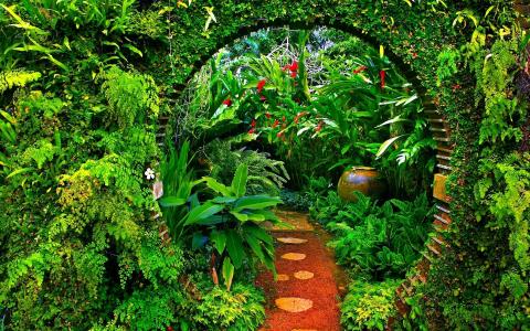温室，植物，花园