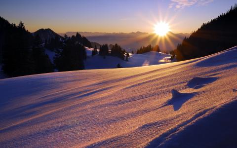 山，日落，性质，枞树，雪，景观