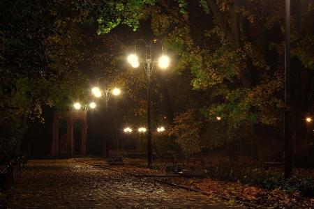 秋天，晚上，街头