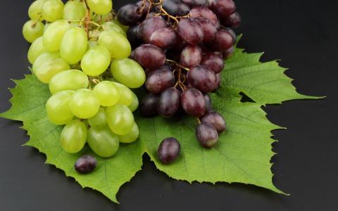 叶子，葡萄，水果，酒